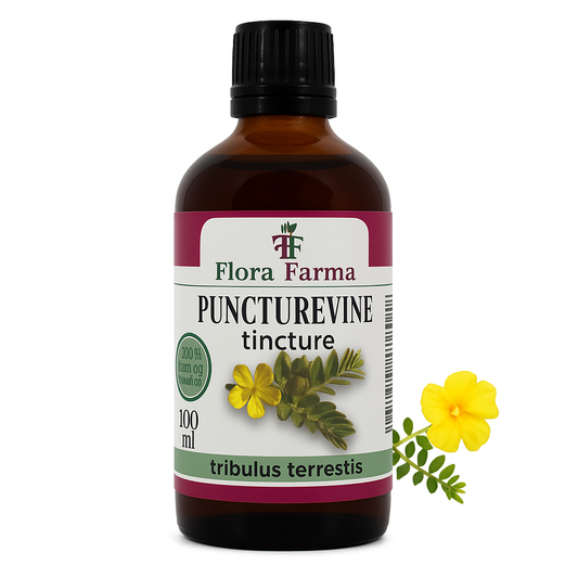 Coltii babei – tinctură 100 ml - pentru forță, energie și libido